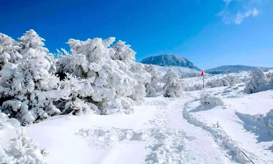 Pulau Jeju Saat Musim Dingin