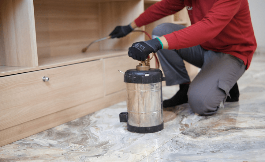 Mau Cari Jasa Anti Rayap Surabaya Terbaik? Coba Cek Kriteria Ini